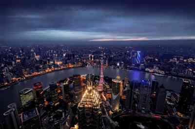 Shanghai White Magnolia